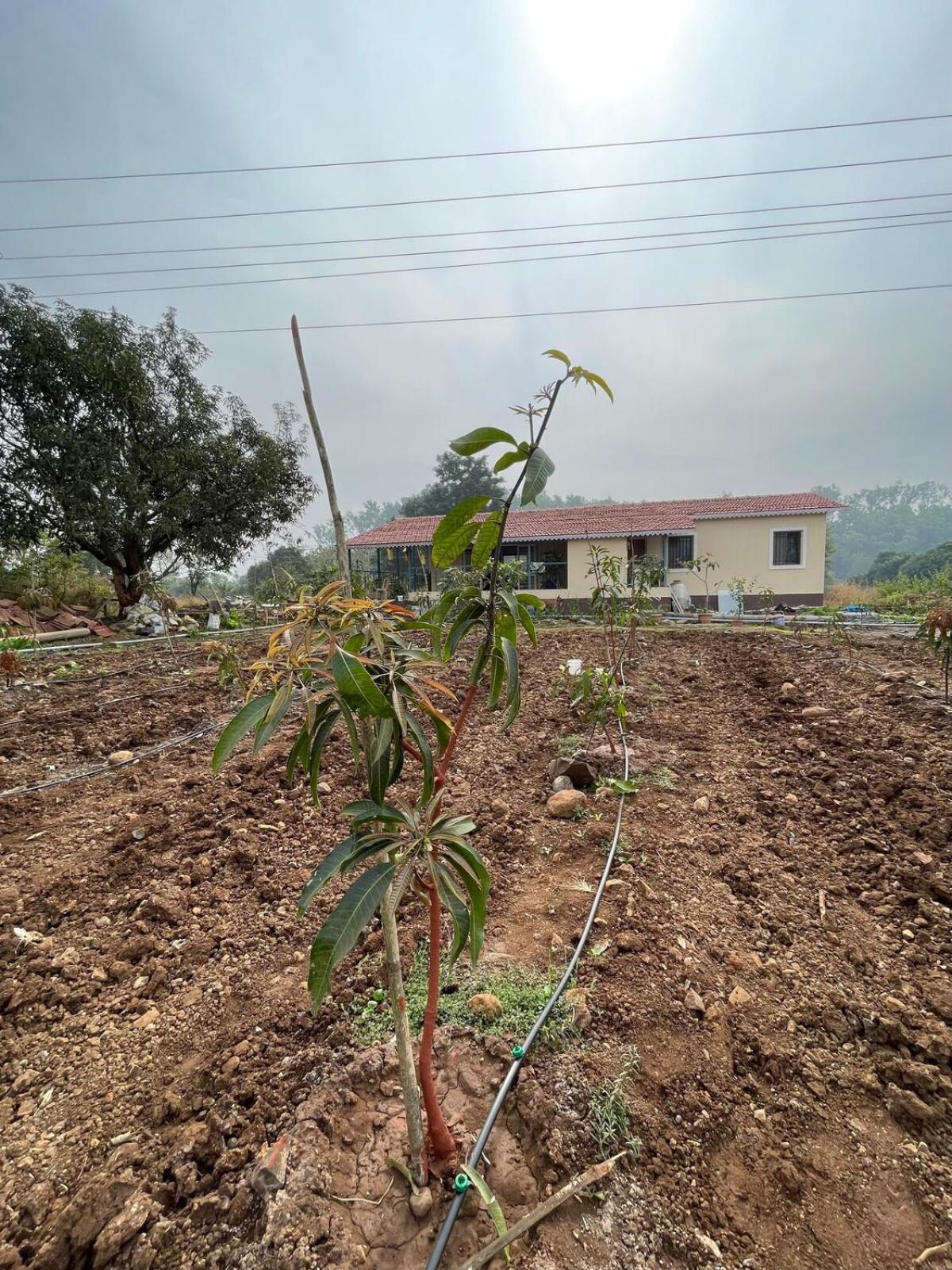 WelheAj Farms别墅 外观 照片